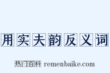 用实夫韵反义词是什么意思的图片